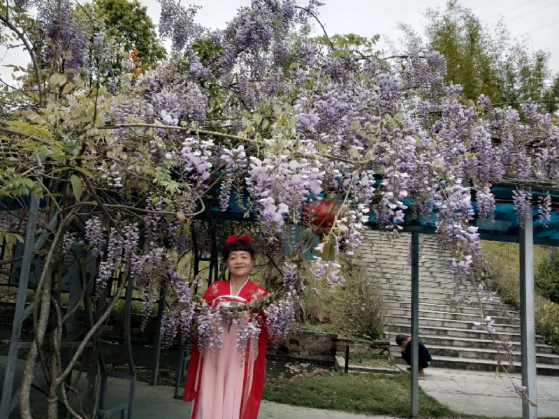 莉莉的第一张照片--龙岩残疾人相亲网